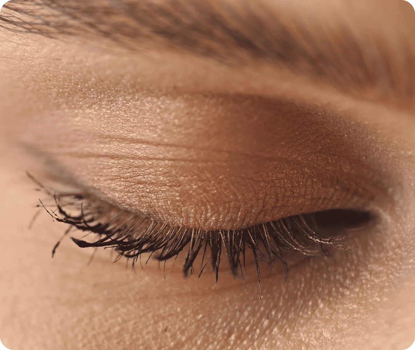 Nahaufnahme des geschlossenen Auges einer Person mit Augenlid, Wimpern und Augenbraue. Das Bild hebt die Hauttextur und das Make-up hervor.